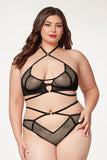 Fishnet mesh halter bra and bikini cut panty