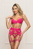 Three-Piece Lace and Mesh Bra Set with Gold elastic strap detail