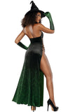 Women’s Emerald Enchantress Costume, Printed Velvet Dress with Open Faux-Lacing Side Panels, Built-In Panty, Elbow-Length Gloves & Velvet Witch Hat