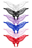 Sheer butterfly appliqued crotchless panty