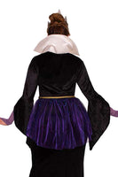 Four Piece Evil Queen Costume Set