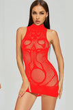 Mockneck Fishnet Dress Lingerie