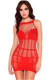 Fishnet Dress Lingerie