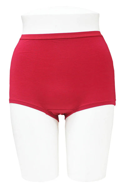 Soft Panty with Elastic Band Modal Brief