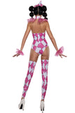 Diamond Clown Teddy Costume for Women with Rhinestone & Tulle Details, Leg Warmers, Wrist Pieces & Clown Hat – Pink & White Circus Costume