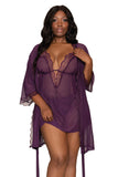 Stretch mesh chemise and robe set