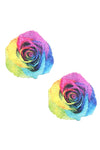 Freaking Awesome Pride Rainbow Rose Nipztix Pasties