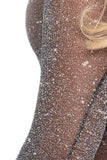 Snap Crotch Shimmery Sheer Bodysuit