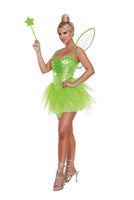 Fairy-Licious Costume