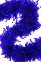 6 FT Feather Boa