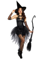 Wicked Witch Costume