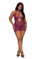 Contemporary lace and mesh chemise