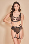 Shiny Sheer Striped Mesh Bra Set