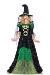 Storybook Witch Costume