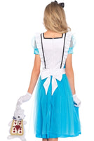 Classic Alice Costume